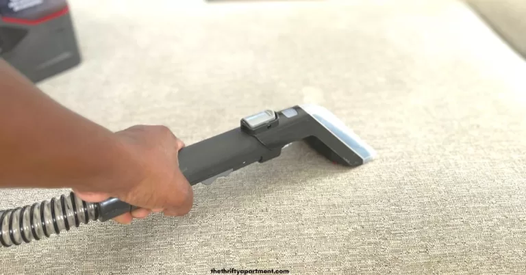 handheld couch cleaner