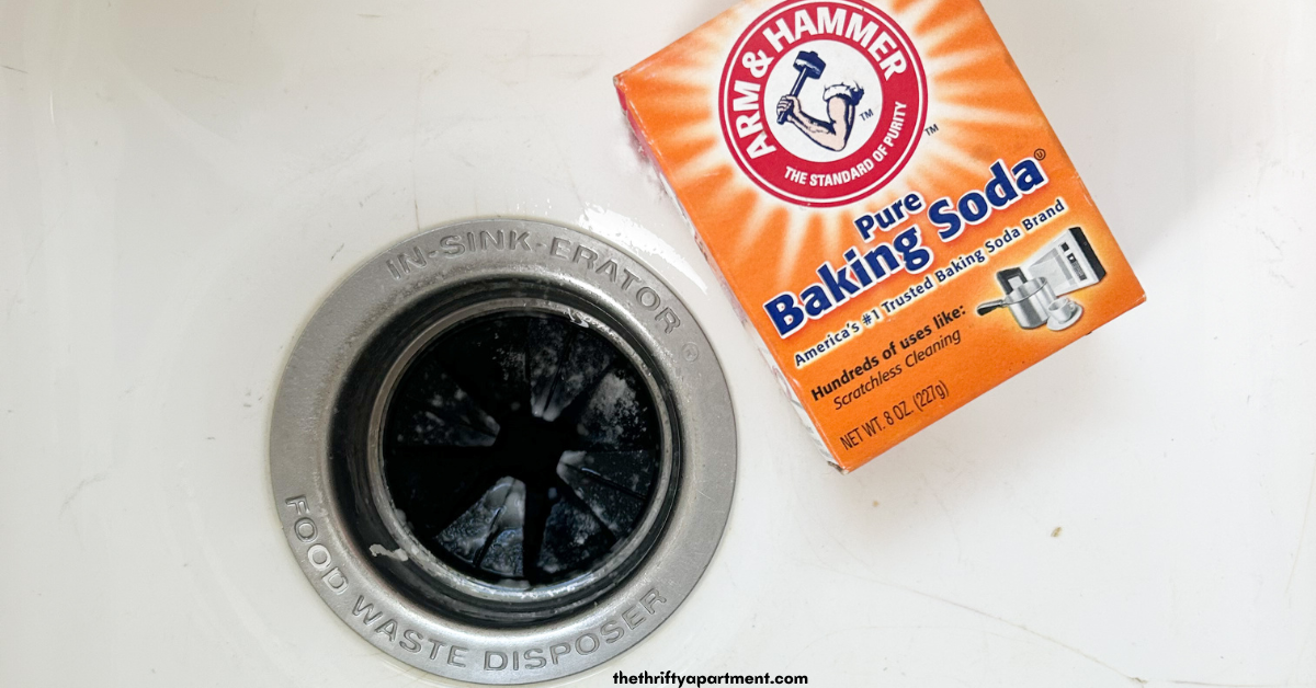 9 Ways to Clean a Smelly Garbage Disposal