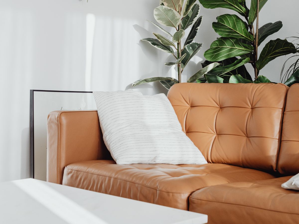 The 12 Best Budget Leather Sofa and Couch of 2023