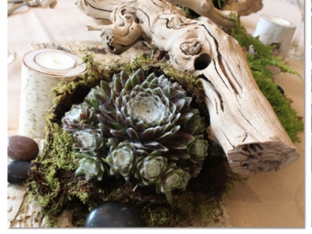 tablescape with rocks