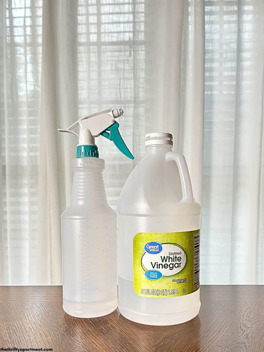 https://thethriftyapartment.com/wp-content/uploads/2023/04/vinegar-with-spray-bottle.jpg