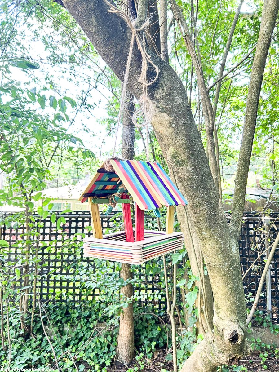 DIY Bird Feeder with Popsicle Sticks for Kids to Make