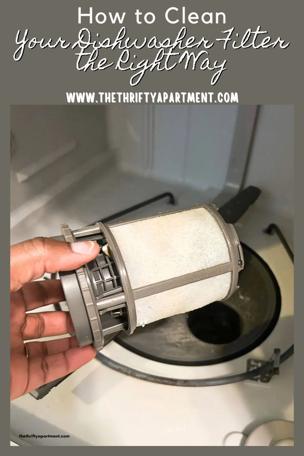 How to Clean Your Dishwasher Filter the Right Way