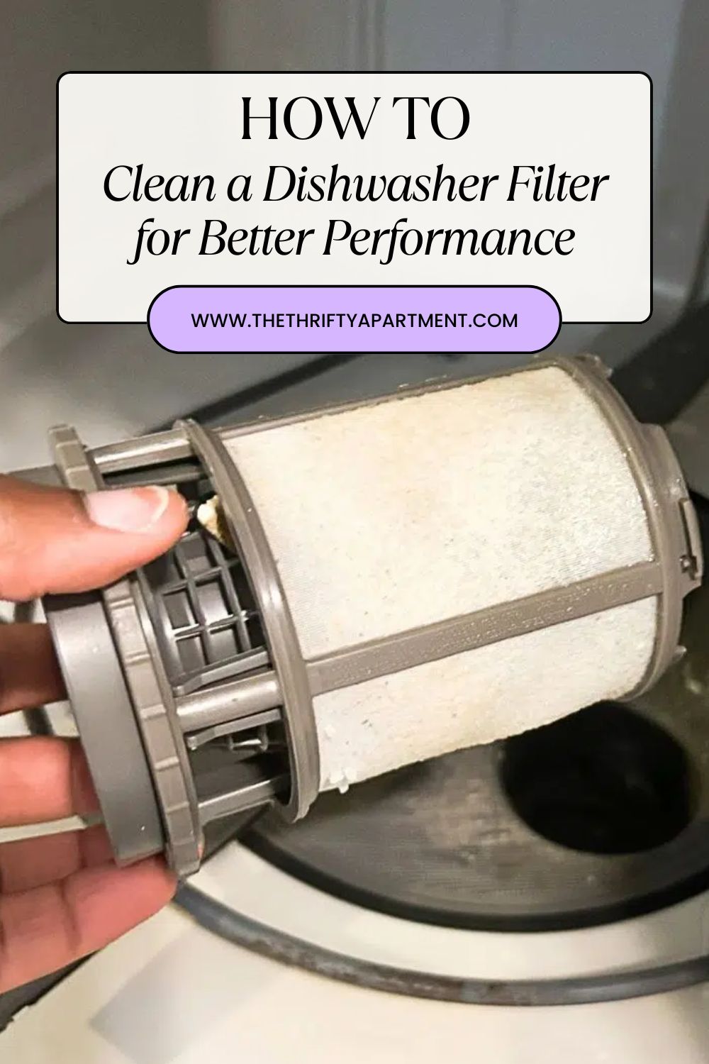 How to Clean Your Dishwasher Filter the Right Way