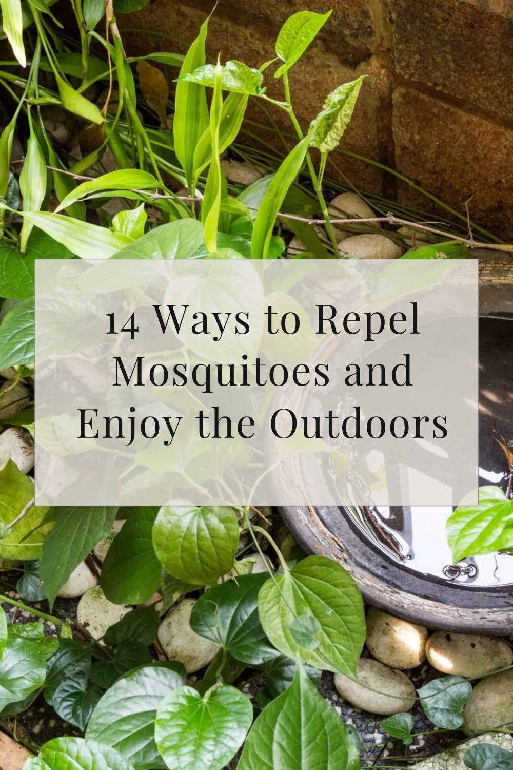 14 Ways to Repel Mosquitoes and Enjoy the Outdoors