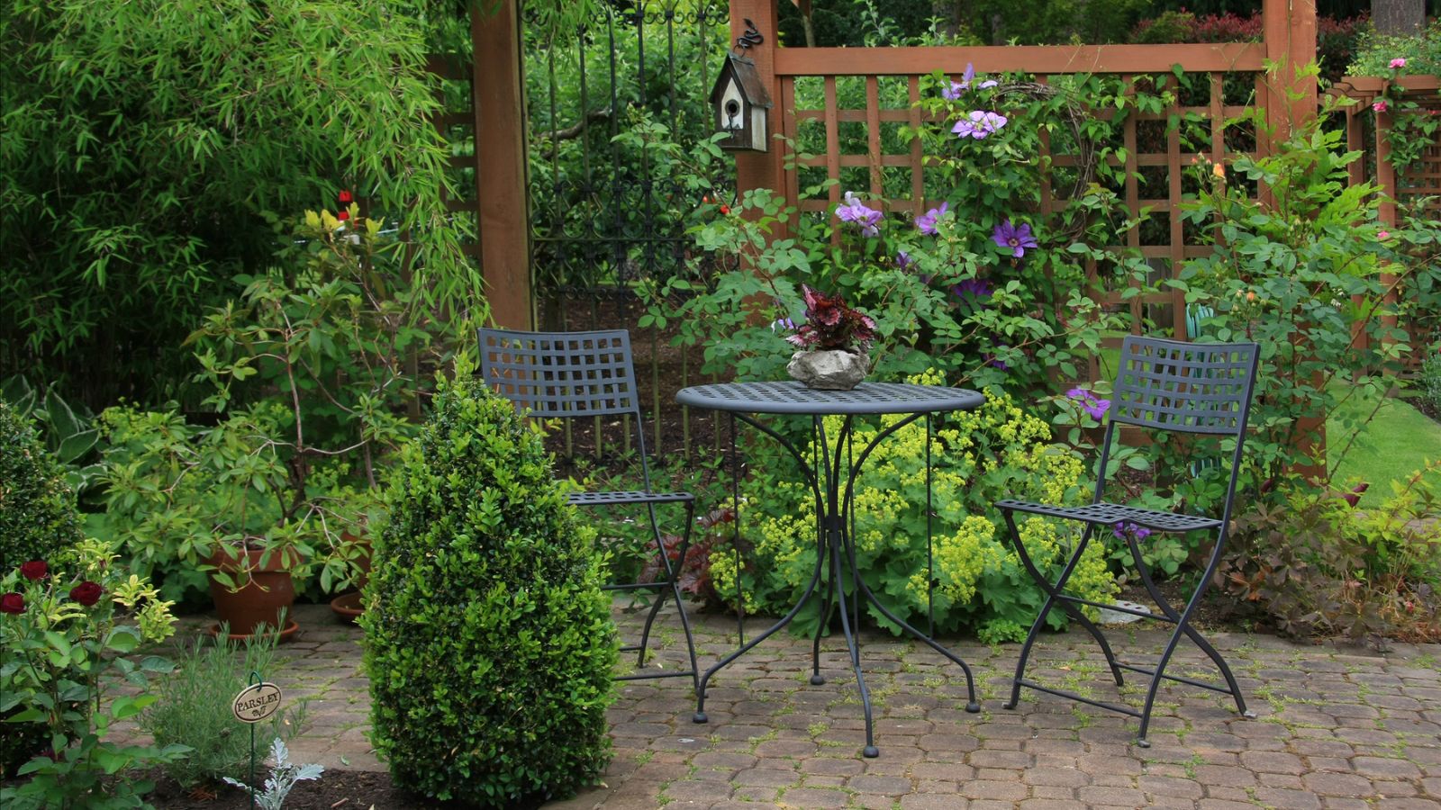 backyard area with plants