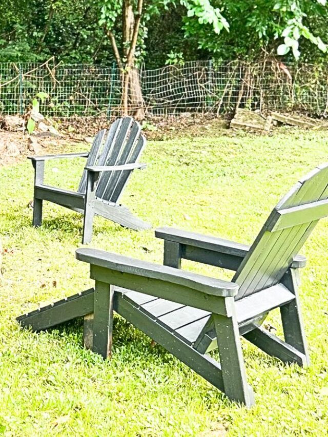 How to Paint an Adirondack Chair in Black