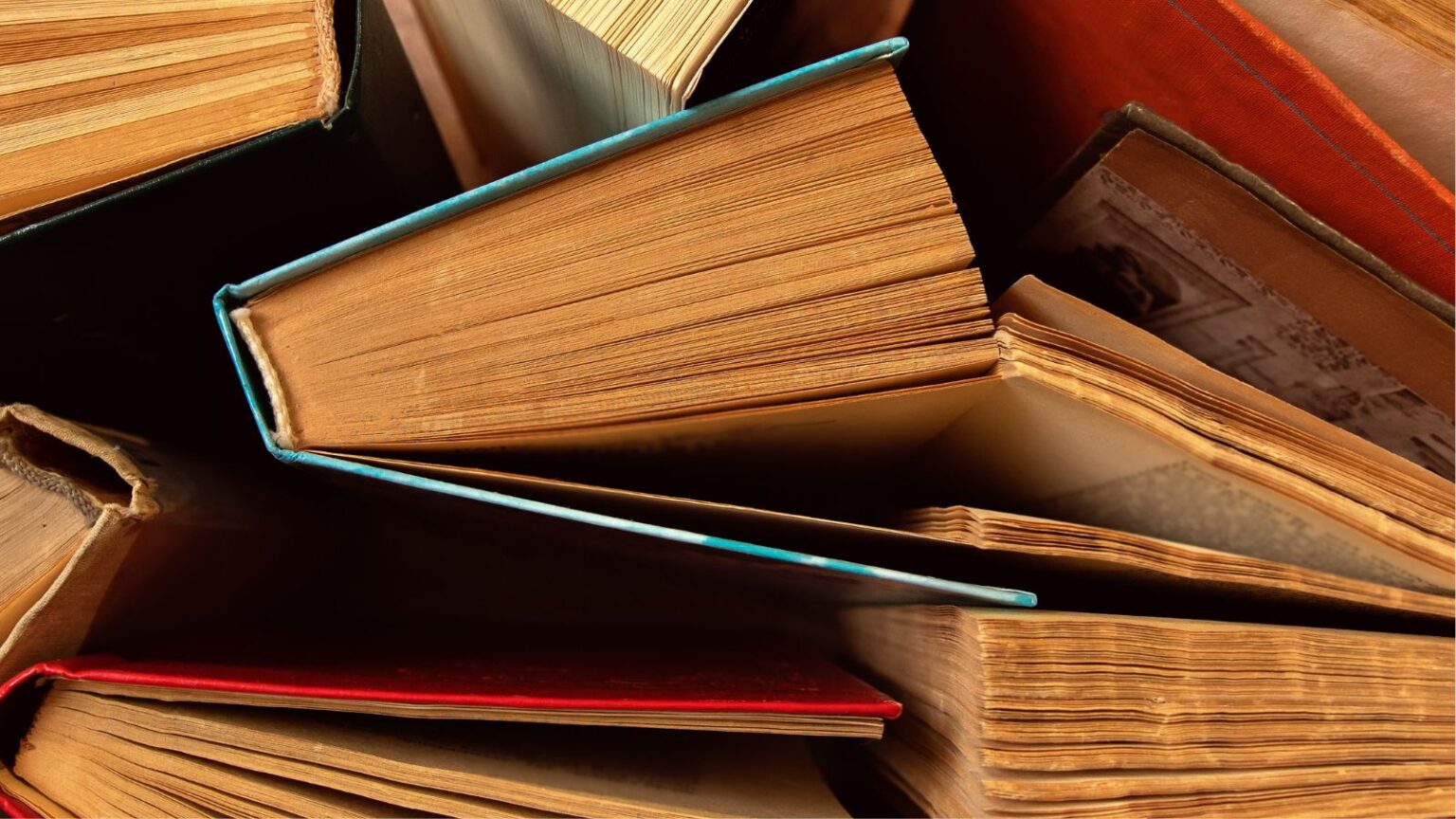 16 Responsible Ways to Get Rid of Old Books