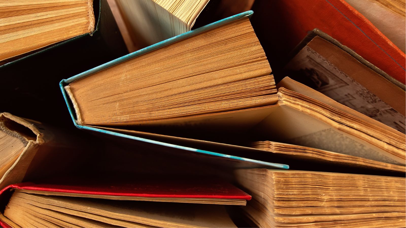 How to Recycle Books in 2024: A Complete Guide - BookScouter Blog