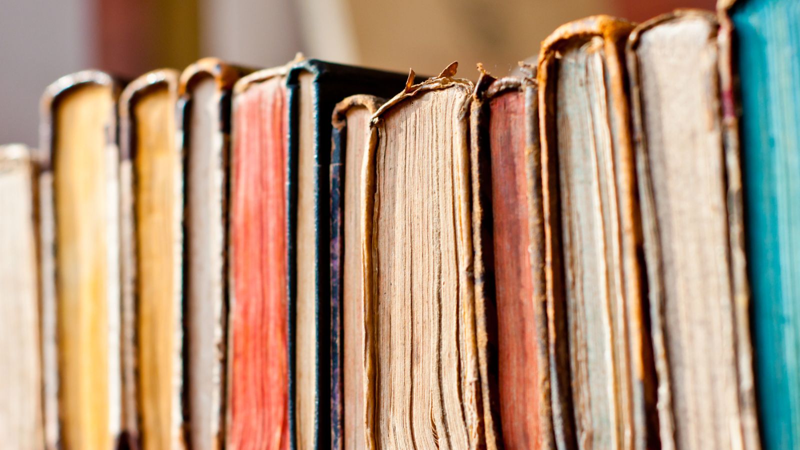 16 Responsible Ways to Get Rid of Old Books