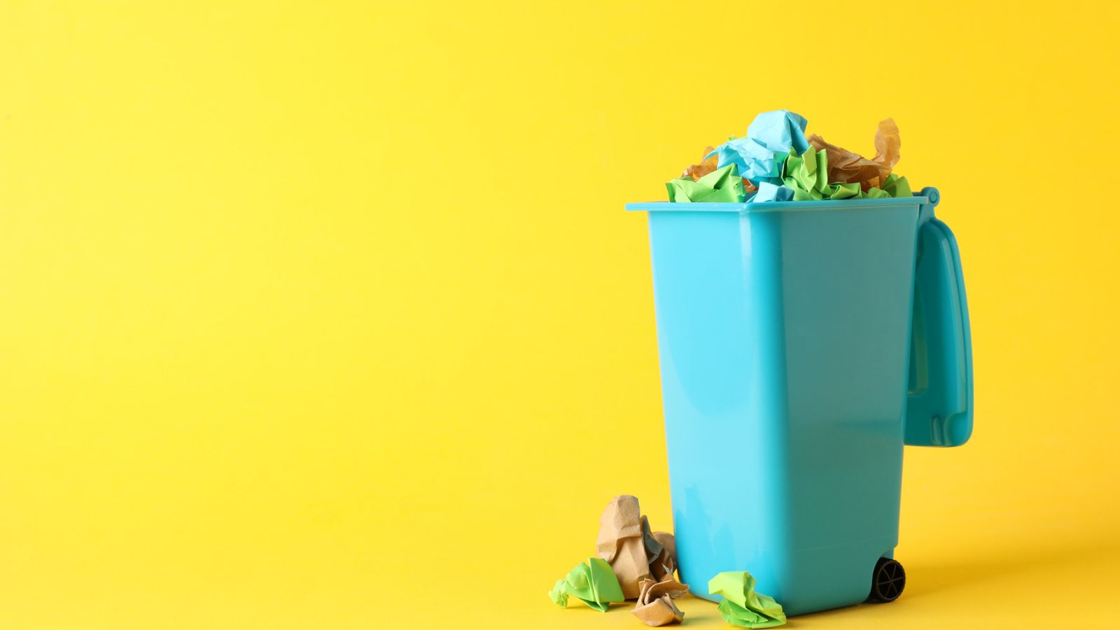 12 Shocking Things You Should Never Put in the Trash
