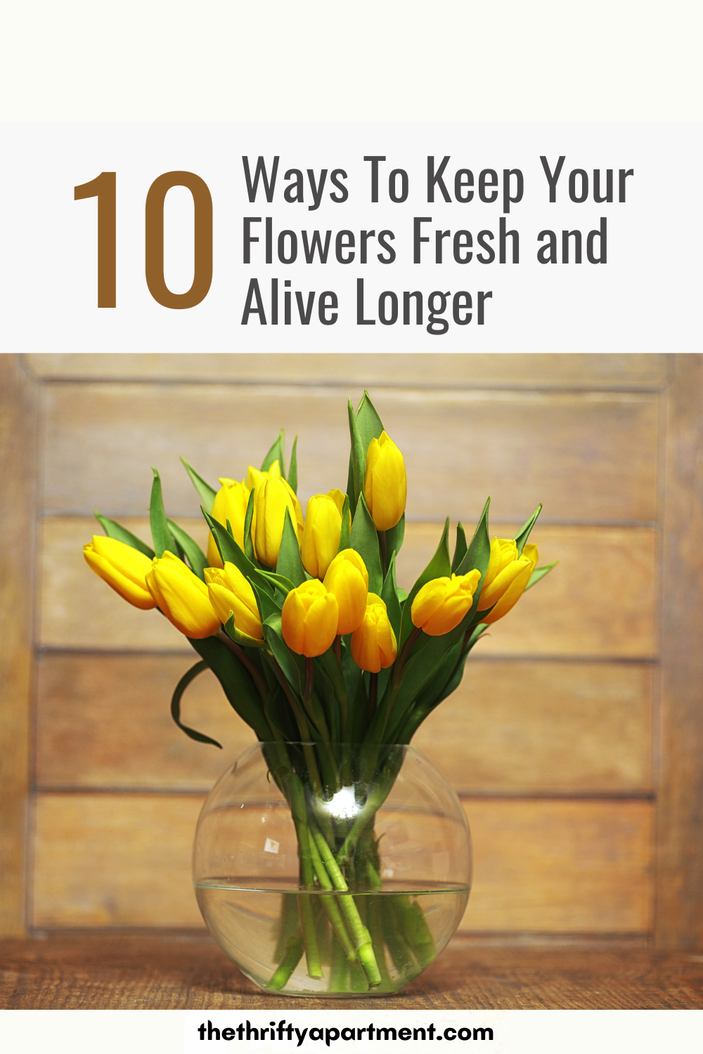 Keep Roses Fresh Longer 10 Ways To Keep Your Flowers Fresh and Alive Longer