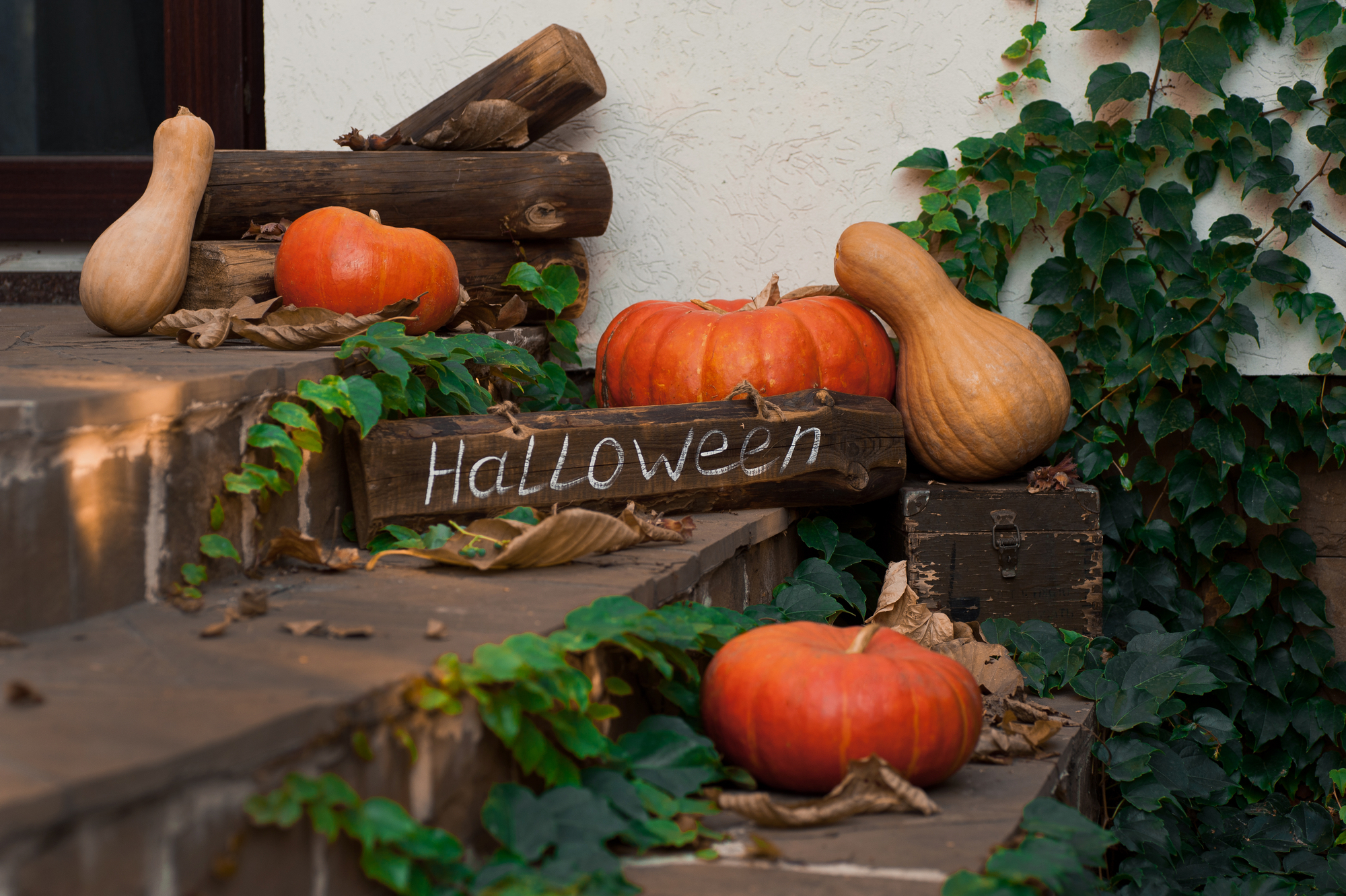 Fall Front Porch Decor That Can Be Grown or Gathered