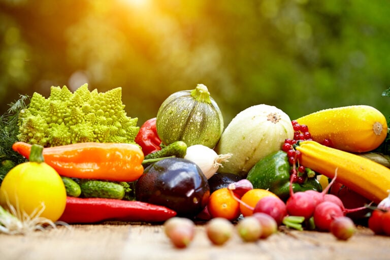 Fresh organic vegetables ane fruits on wood table in the garden
