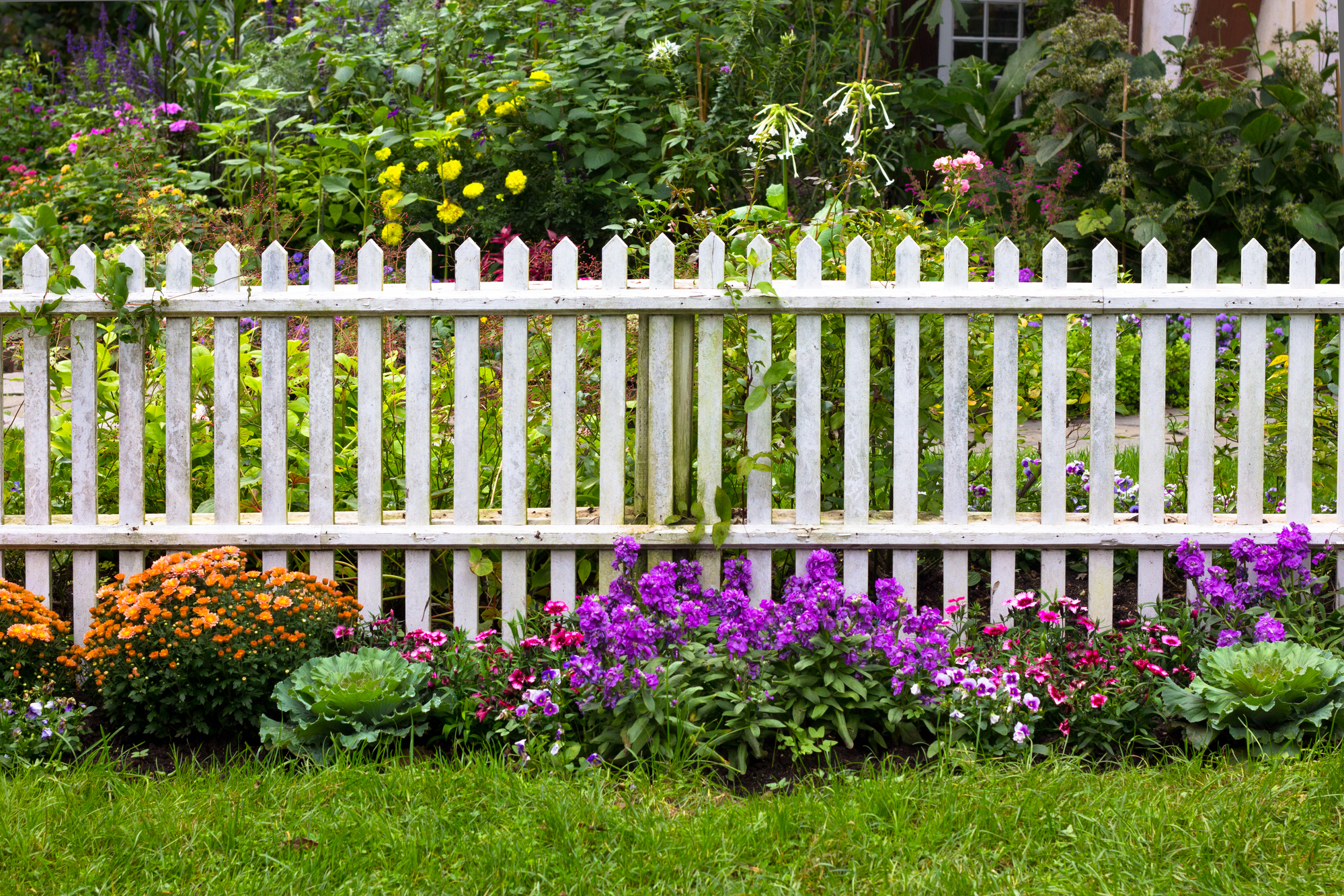 white Picket Fence in front yard