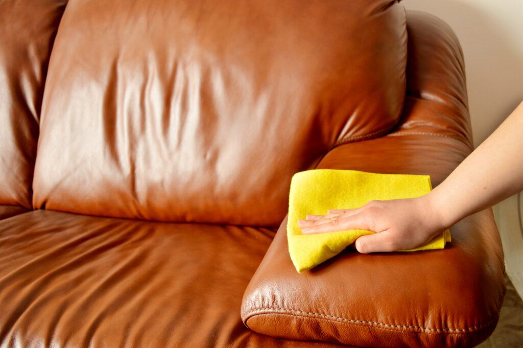 sofa cleaning and polishing leather