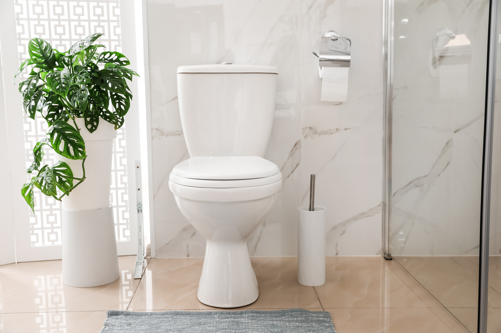 Toilet bowl near shower stall in modern bathroom