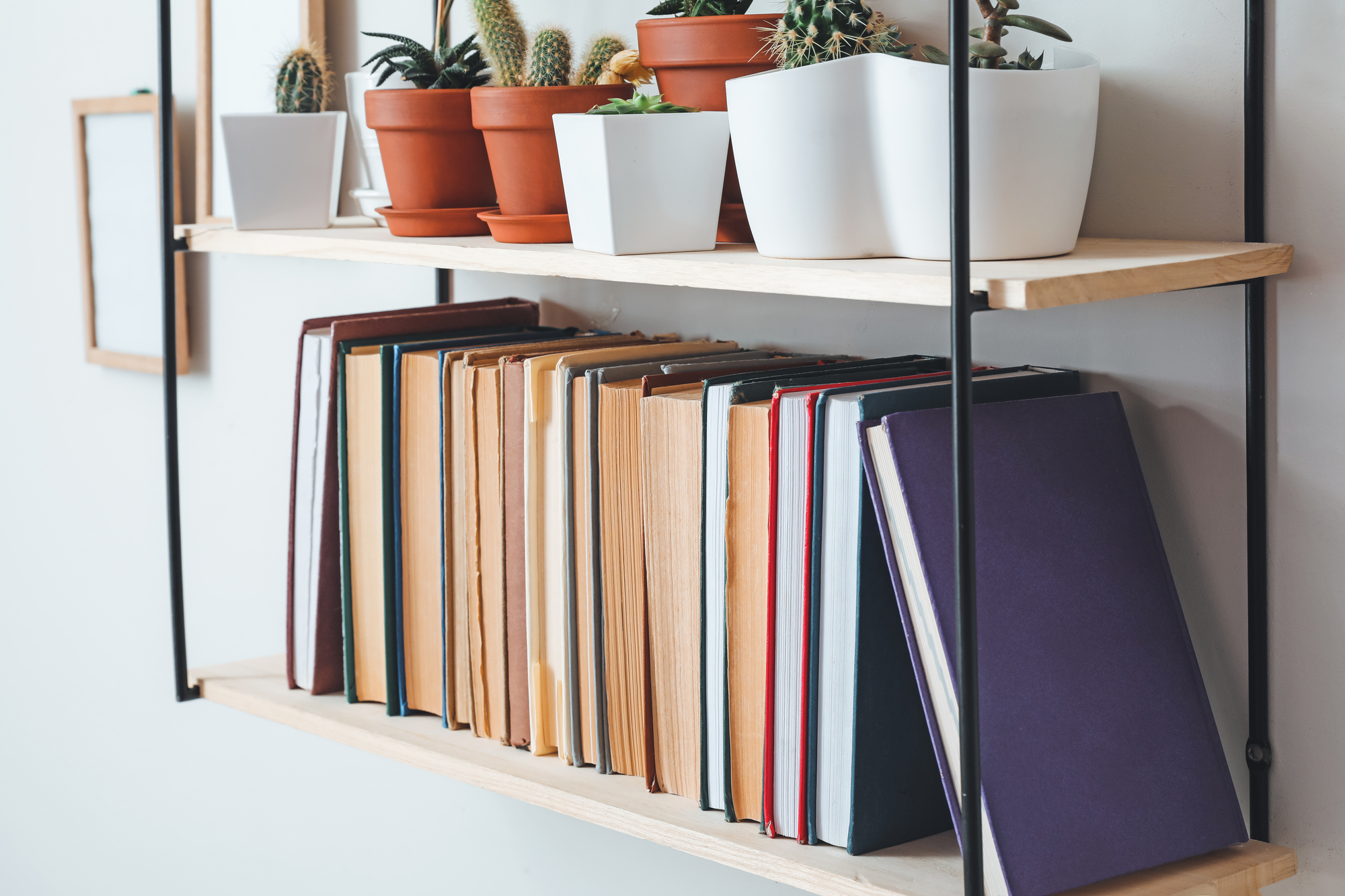 Shelf with books and plants hanging on light wall, closeup