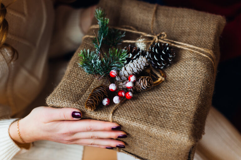 girl holds a gift wrapped in cloth and decorated with cones. close up.