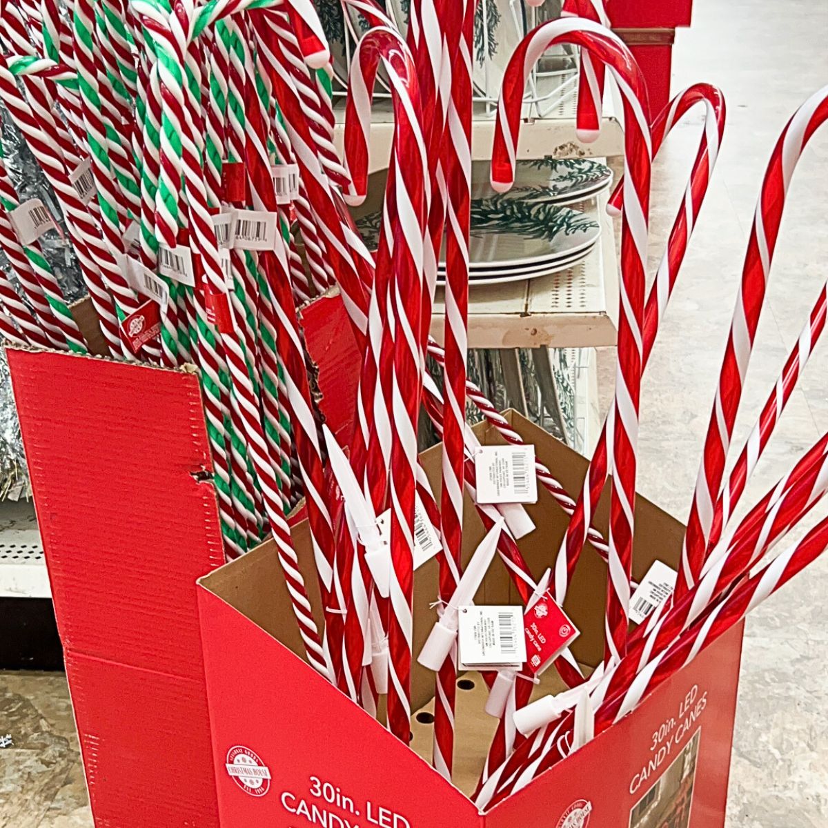 candy canes lawn decor dollar tree