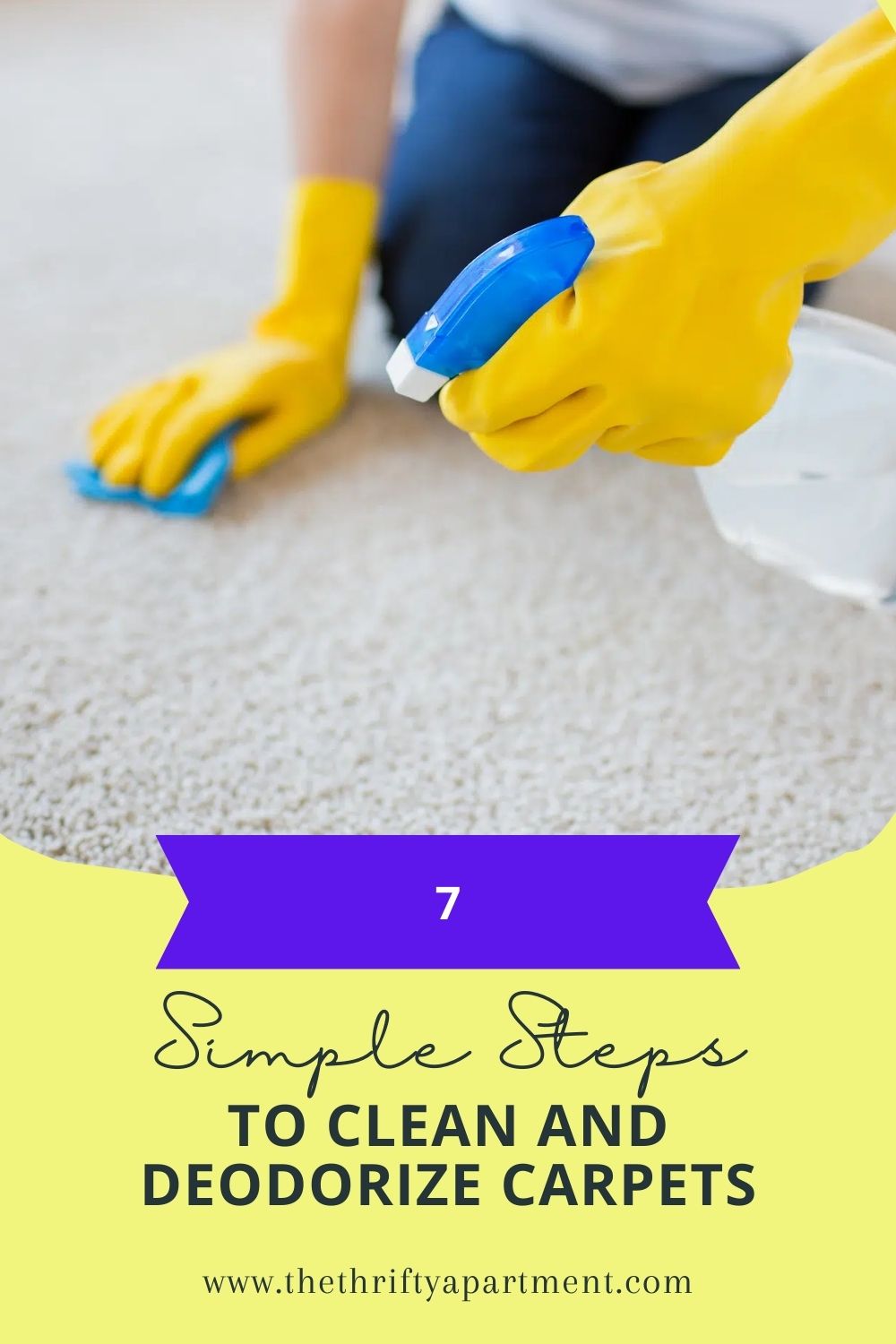 Carpet cleaner Cleaning Supplies at Lowes.com