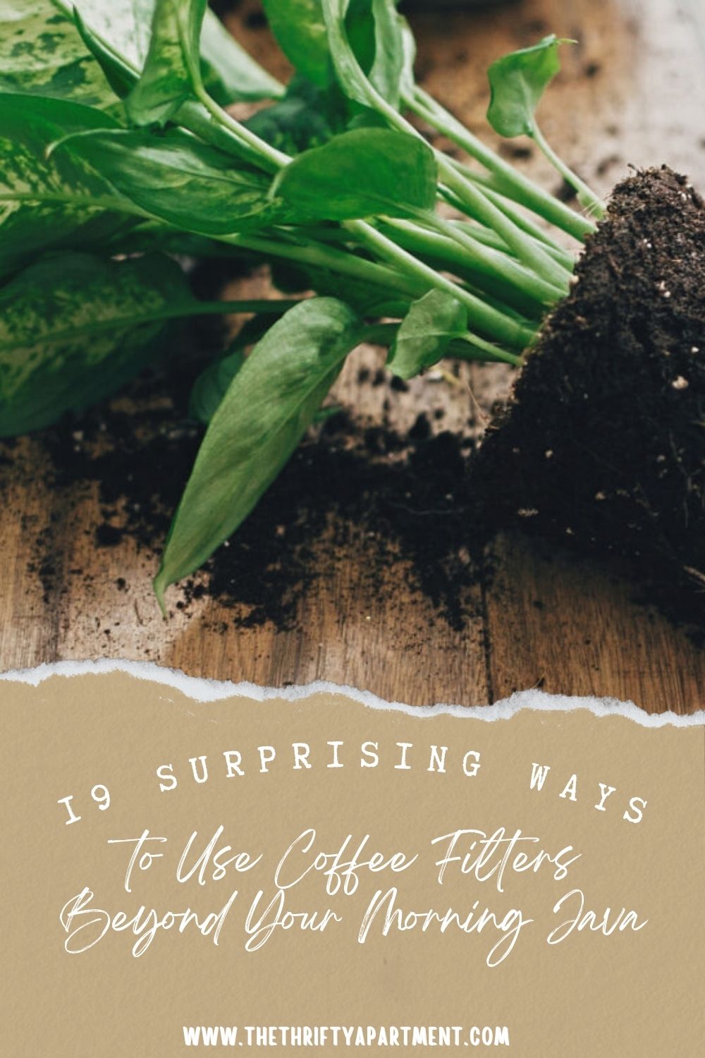 19 Surprising Ways to Use Coffee Filters Beyond Your Morning Java