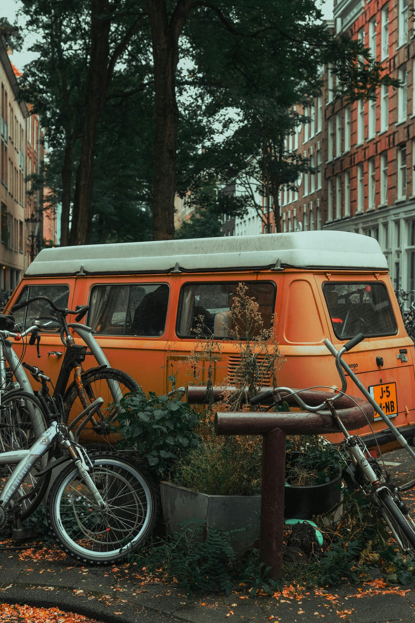 pexels nathanjhilton 19107432 scaled 1