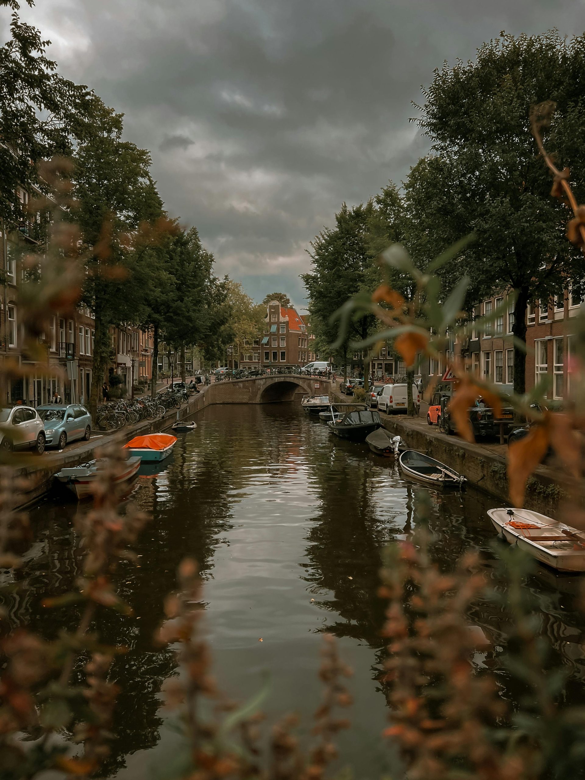 pexels nathanjhilton 28318622 scaled 1