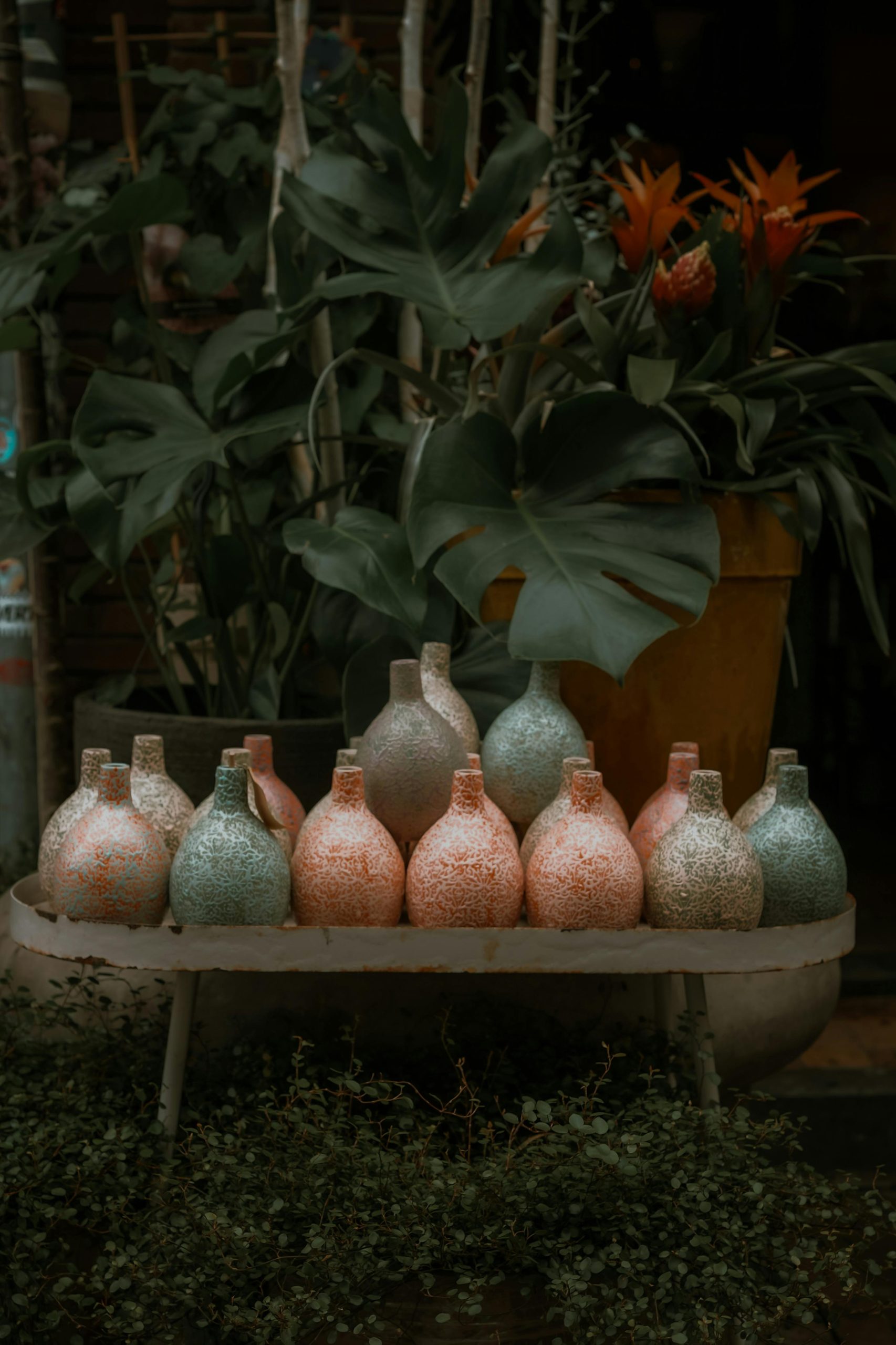 pexels nathanjhilton 28318697 scaled 1