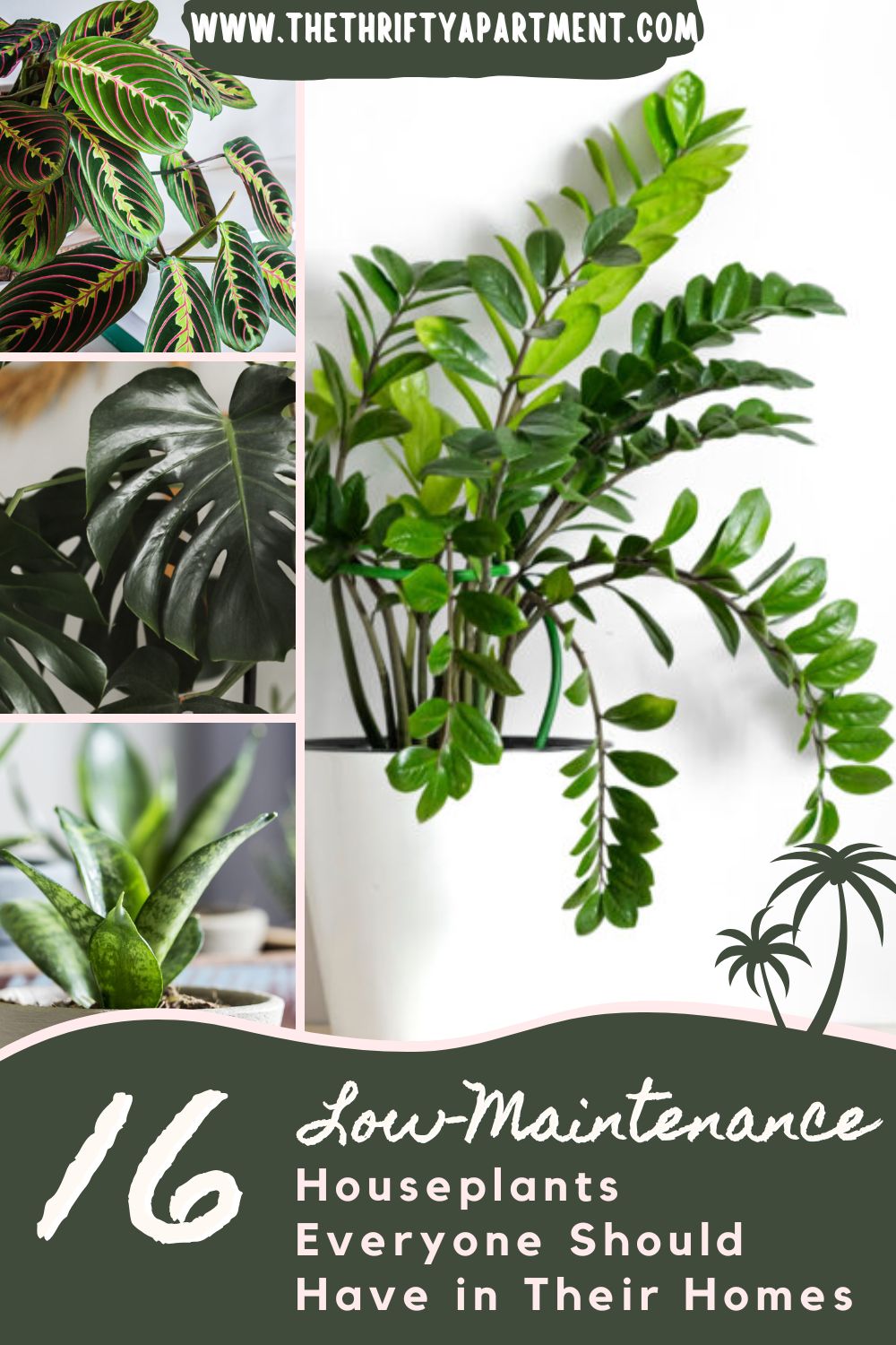 16 Low-Maintenance Houseplants Everyone Should Have in Their Homes