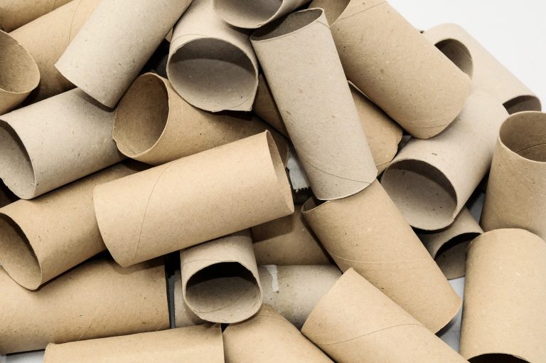 toilet paper rolls