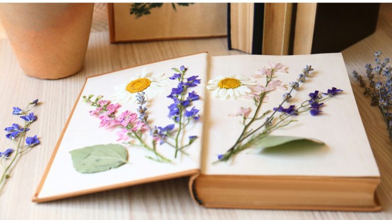 15 Beautiful Ways to Work with Pressed Flowers