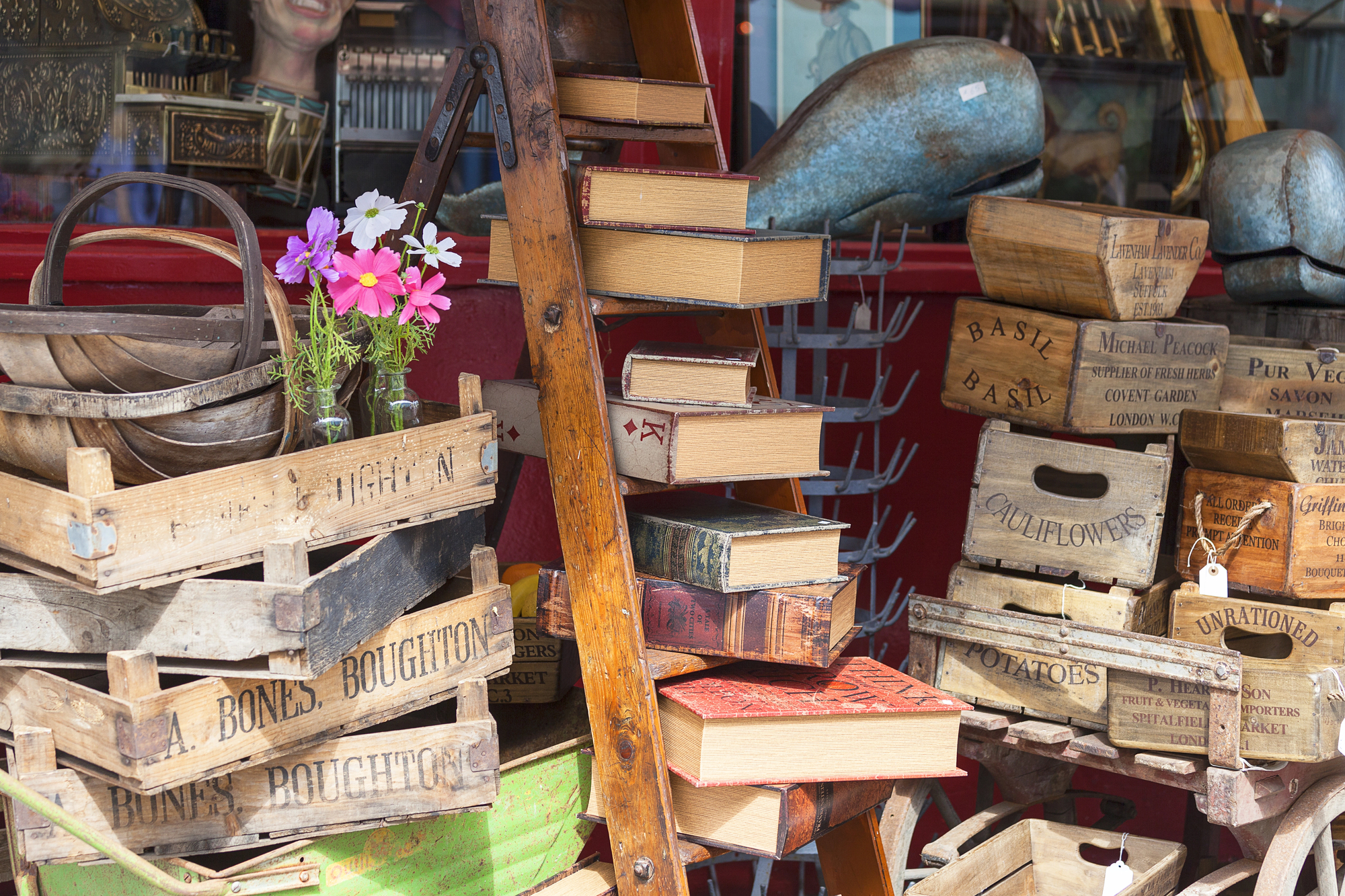 Sentimental items books, in thrift store