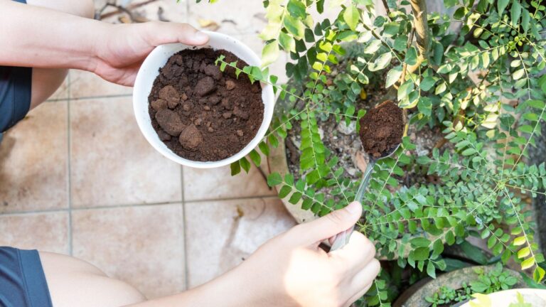 putting coffee in garden