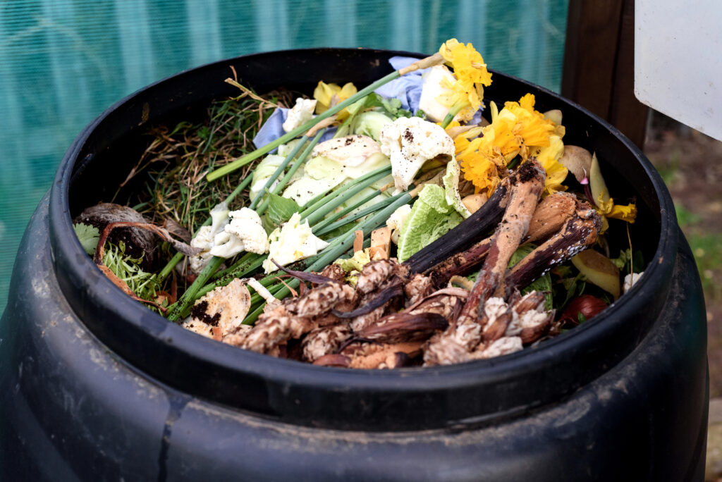 compost pile