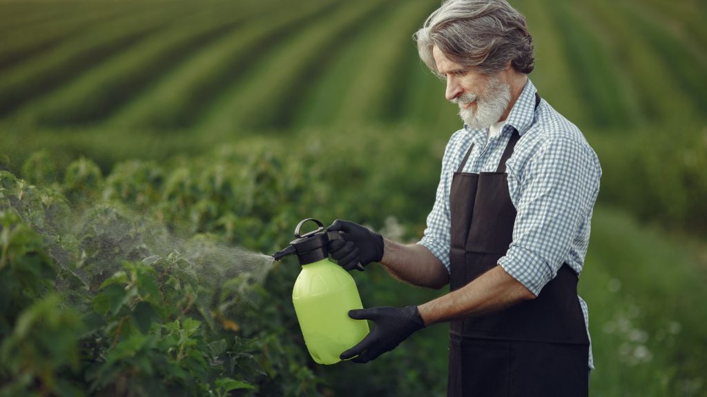 Farmer spraying vegetables in the garden with herbicides