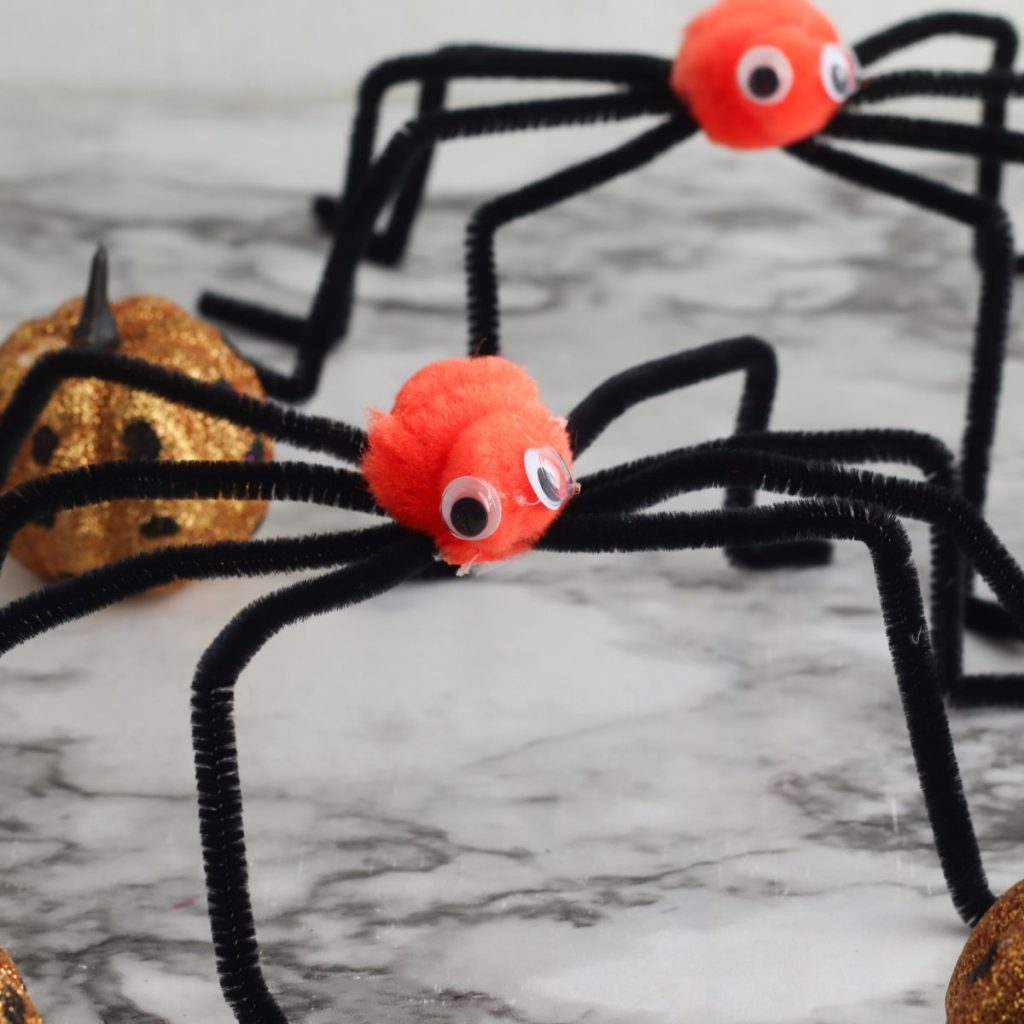 Daddy Long Legs Spider