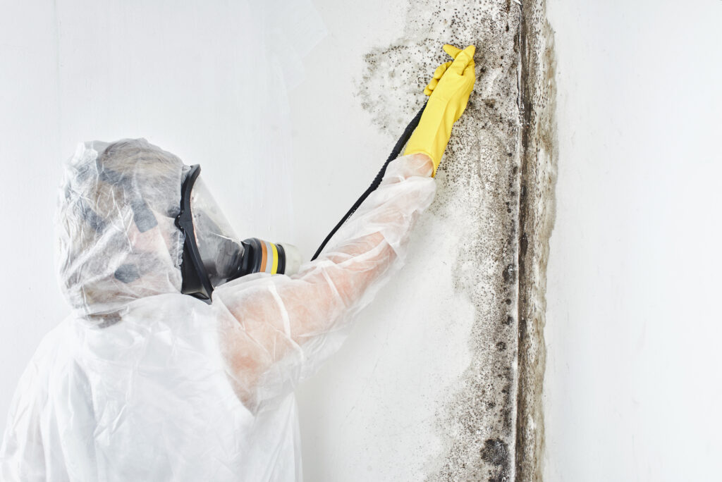 Depositphotos 226019830 L mold removal