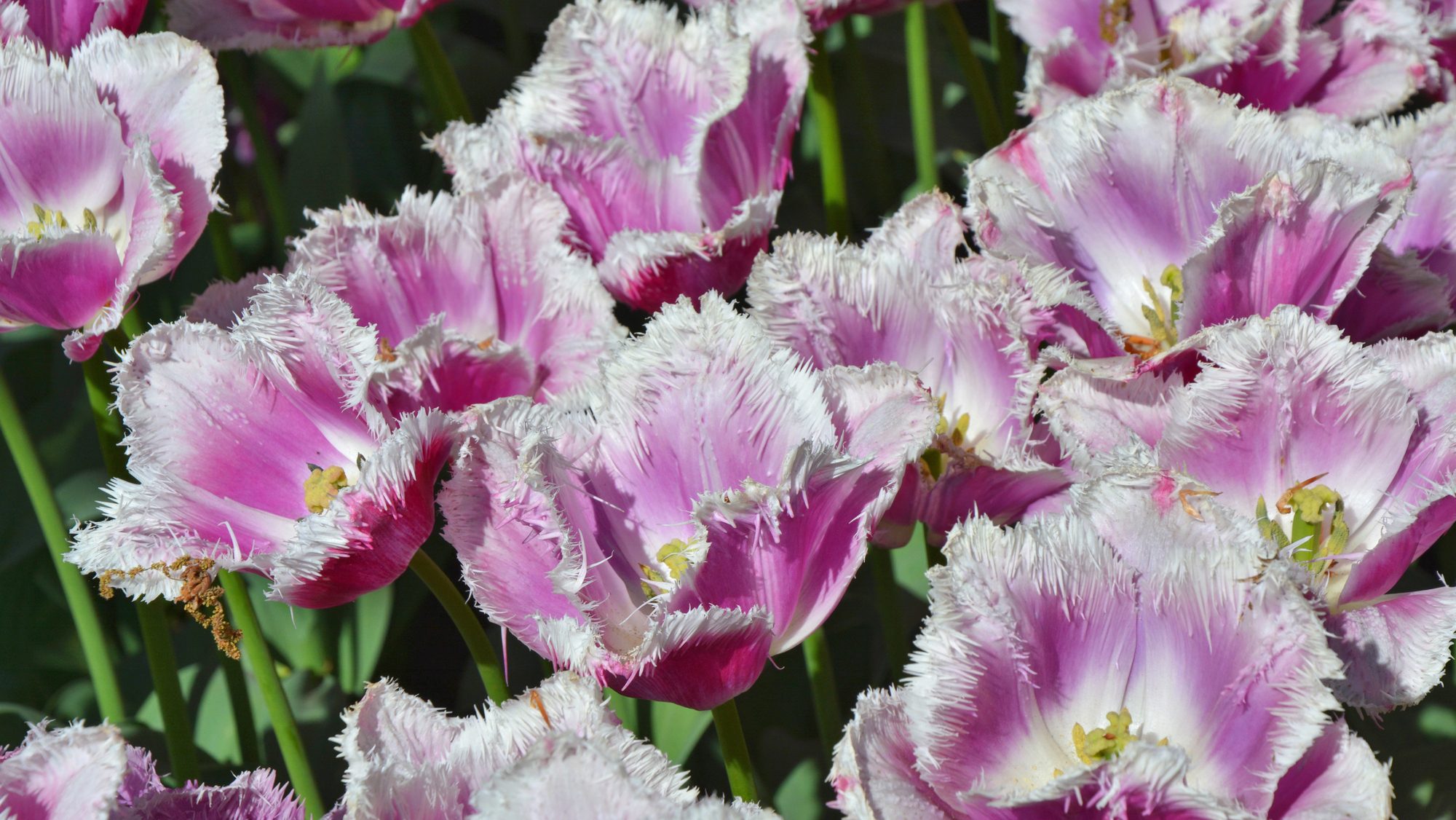 Depositphotos 659311184 L edited