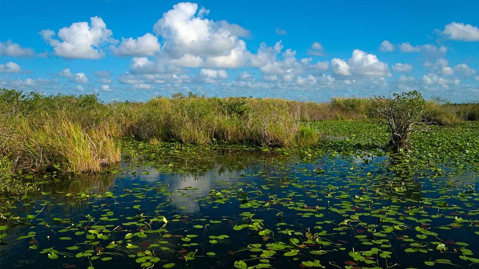 13 Natural Wonders Of The U.S. That Are Seriously Stunning