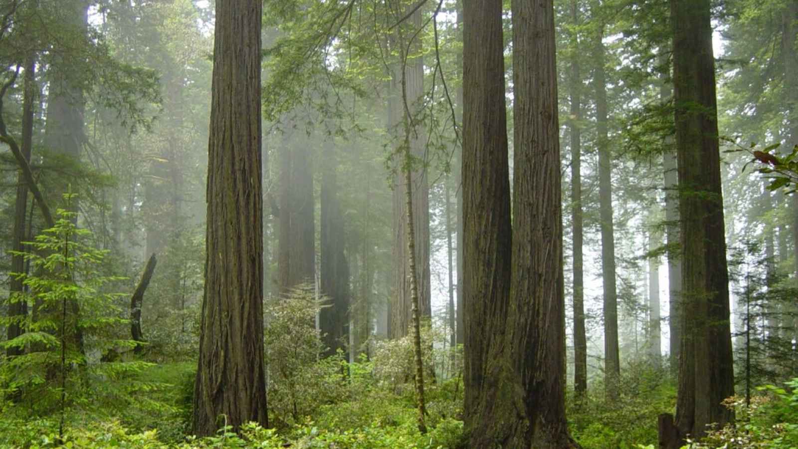 13 Natural Wonders Of The U.S. That Are Seriously Stunning