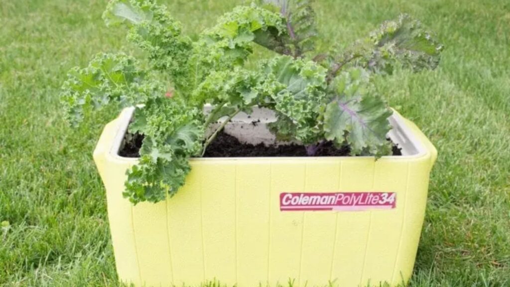 Repurposed Cooler Planter