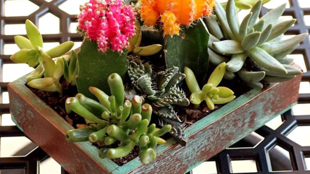 Upcycled Faux Copper Succulent Planter