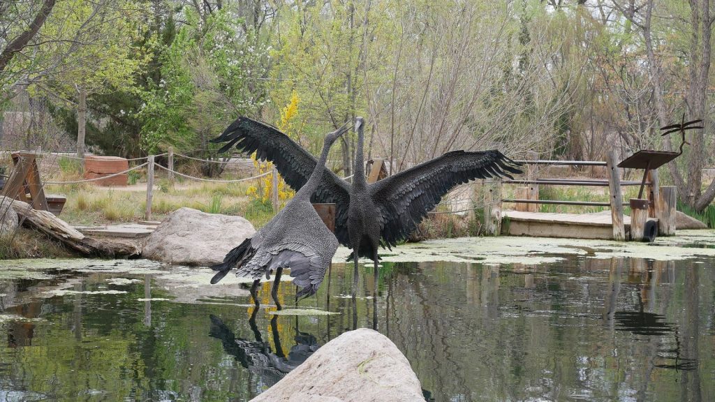 ABQ BioPark Botanic Garden