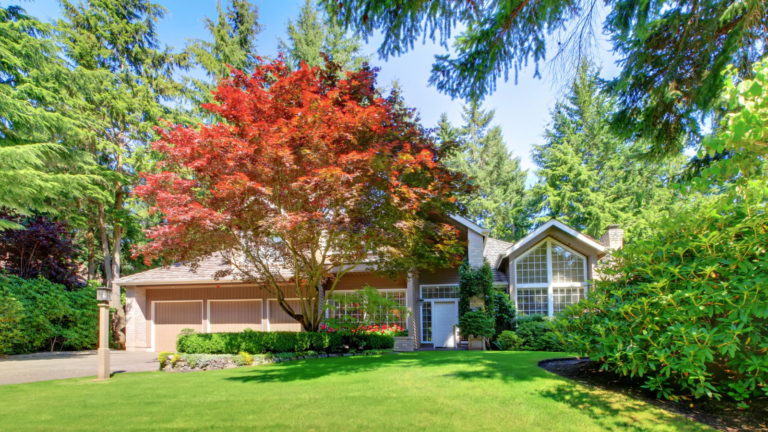 Can You Trim Branches From a Neighbor’s Tree That Cross Into Your Yard?