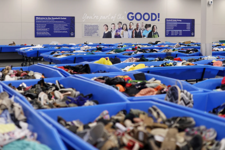 I Used to Shop at Goodwill Until I Found the “Bins”