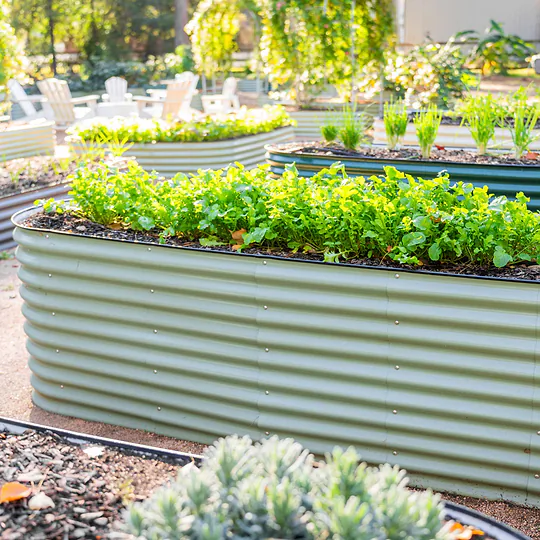 15 Vegetables That Grow Extremely Well in Raised Garden Beds
