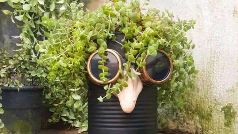 15 DIY Flower Vases That Add Personality to Any Bouquet