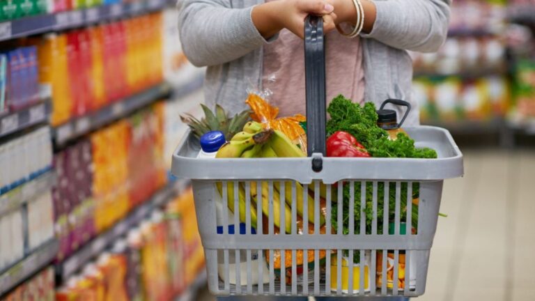 lady holding grocery basket with fruits and veggies