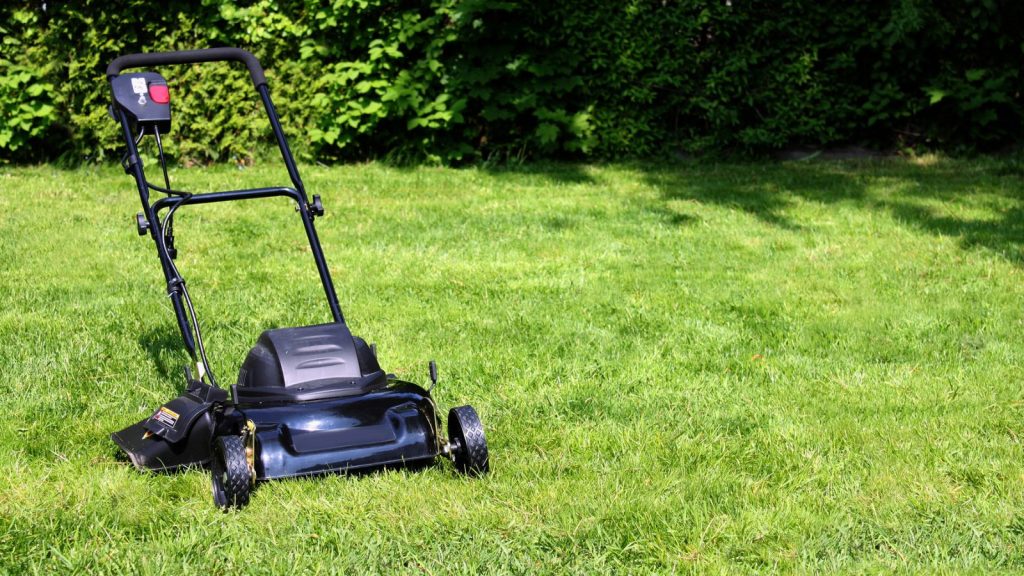lawn mower grass